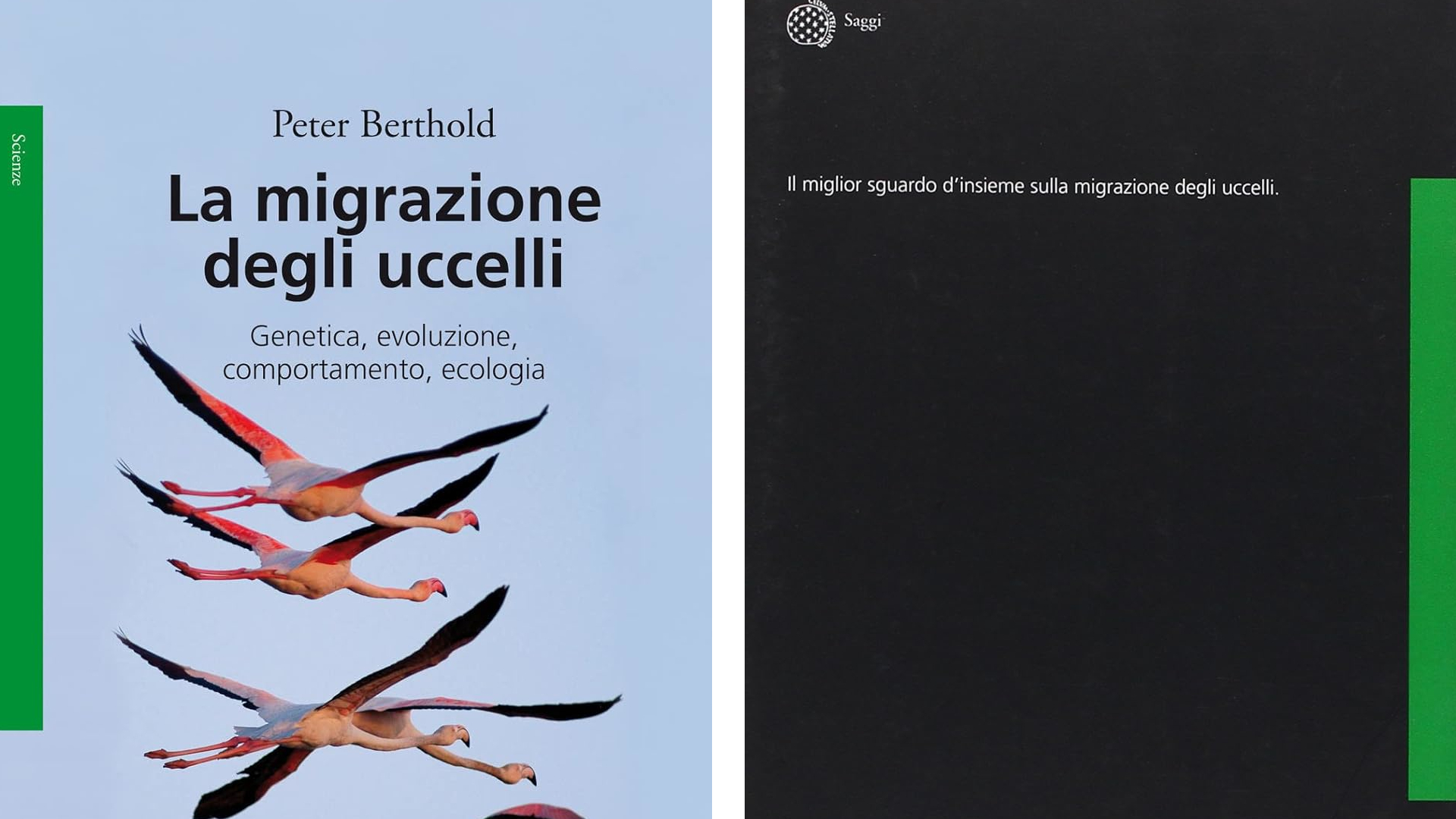 La migrazione degli uccelli