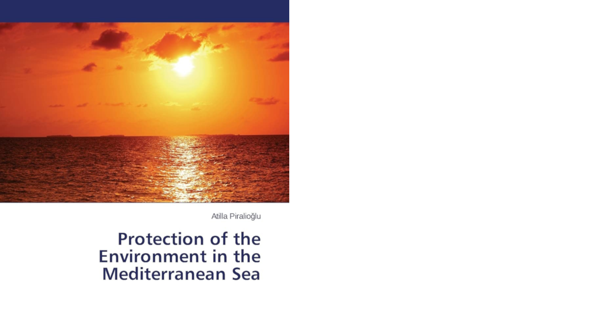 Protection of the Environment in the Mediterranean Sea