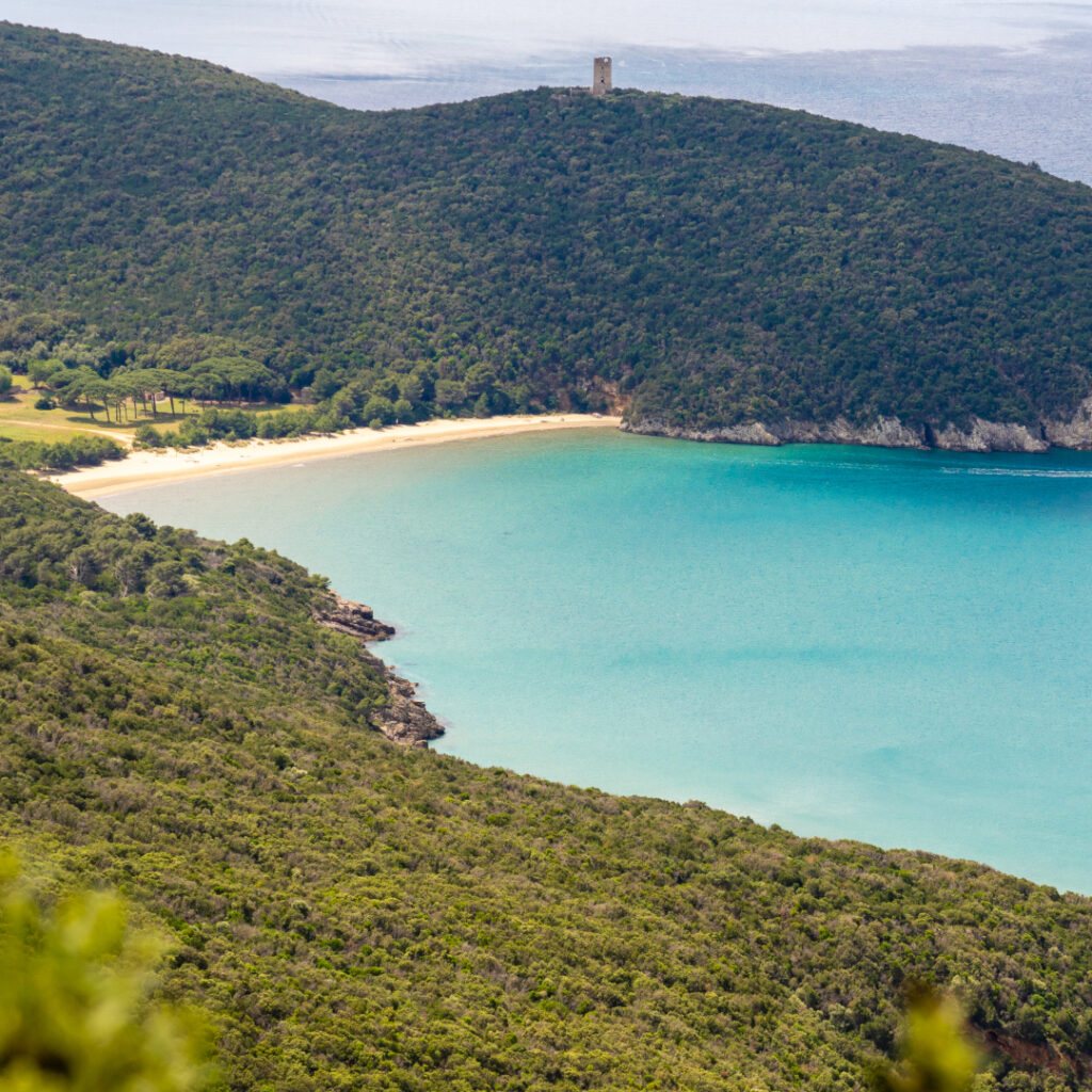 Fuoristrada costiero in fitwalking - Cala di Forno